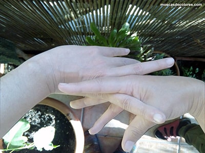 Fotografía en color de un primer plano en el que se ven dos manos haciendo la tijera.