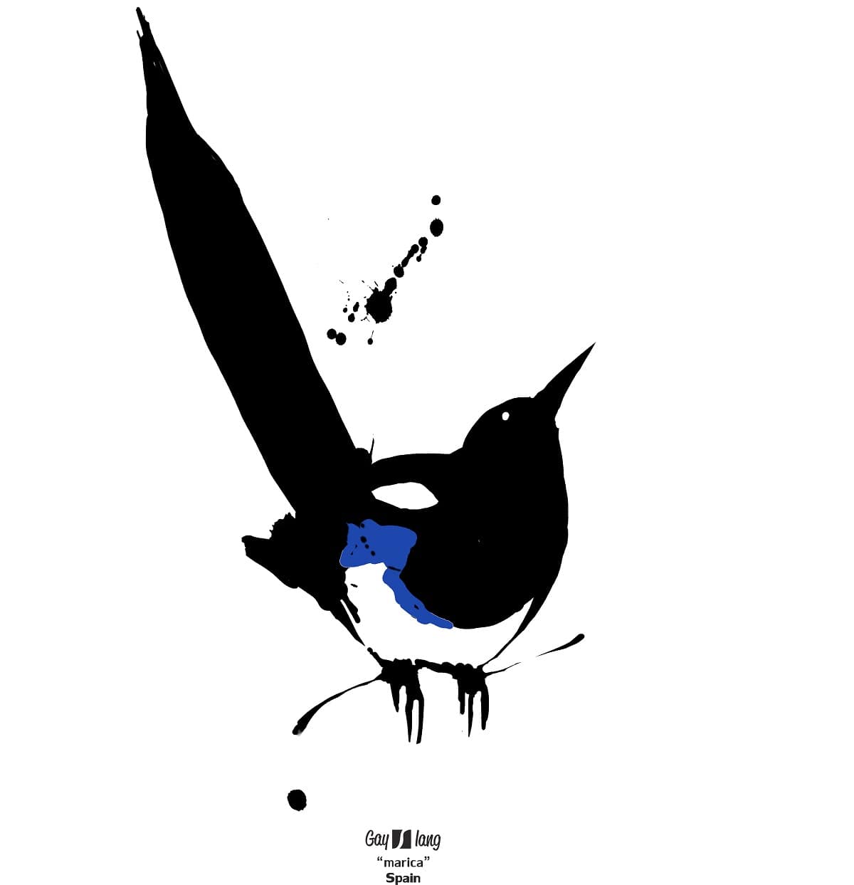 The word Maricón is augmentative of fag, which is also a kind of magpie