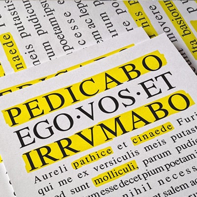 Photograph of several posters with a fragment of the poem by Catullus, Carmen 19